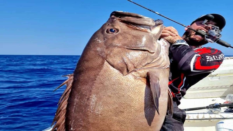 Απίστευτη ψαριά στην Κρήτη: Έπιασε βλαχοσφυρίδα 40 κιλών (photo + video)