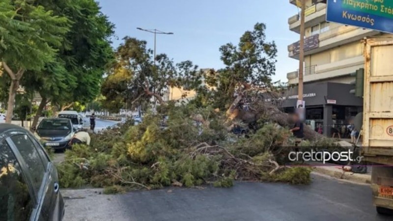 Τραγωδία στην Κρήτη: Ραγίζει καρδιές η σύζυγος του 50χρονου που καταπλακώθηκε από δέντρο - 'Καλό παράδεισο ψυχή μου'