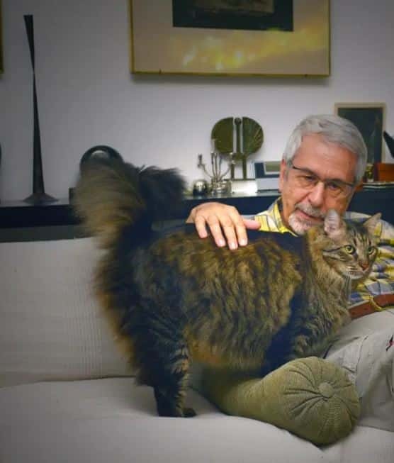  30 Έλληνες διάσημοι που έχουν γάτες φωτογραφίζονται μαζί τους - Μουτσινάς, Καρύδη, Μακρυπούλια ανάμεσά τους!