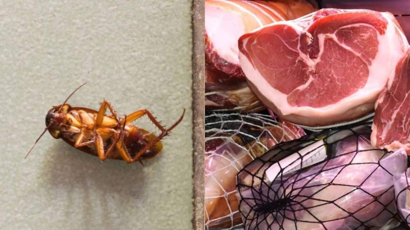 Κατσαρίδες και σάπια κρέατα: Κρύφη κάμερα κατέγραψε την απόλυτη φρίκη σε εστιατόριο