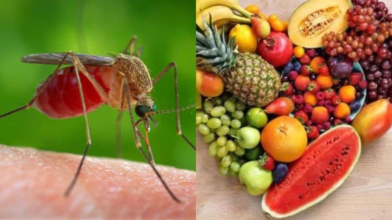 Δε θα σας «τρώνε» πια: Τρίβει στα χέρια της τη φλούδα από πασίγνωστο φρούτο και απαλλάσσεται από τον... εφιάλτη των κουνουπιών