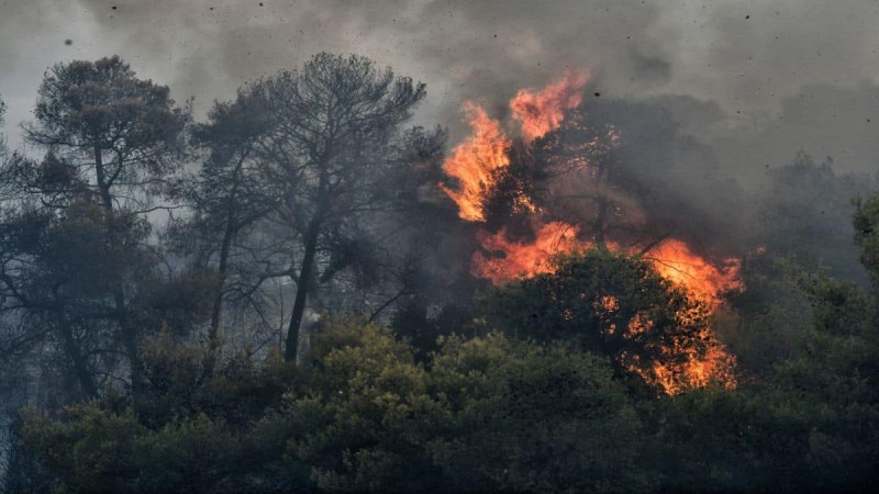 Φωτιά στη Λέσβο – Καίγονται πεύκα στον Καρυώνα