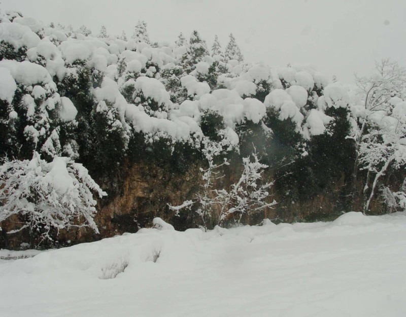 Δυσάρεστη πρόβλεψη από τα Μερομήνια: Έρχεται πολικό ψύχος – Χιόνια και στην Αθήνα