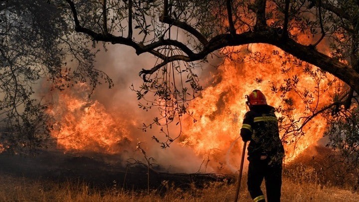 Φωτιά σε δασική έκταση της Τερψιθέας Ναυπάκτου