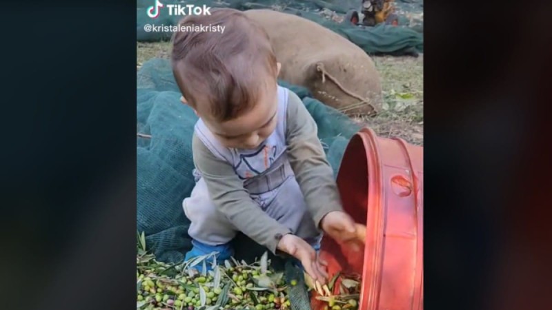 Κρήτη Viral: Ο 2χρονος προκωμμένος αγρότης που κάνει όλες τις αγροτικές δουλειές μόνος του (video)