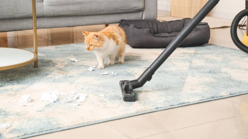 Tips του νοικοκυριού: Καθάρισε σωστά το σπίτι πριν στρώσεις τα χαλιά