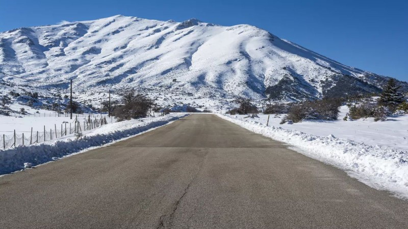 Εκεί που το ταξίδι συναντά την μυθολογία: Απόδραση στο βουνό με το «μυθικό φυτό» που έδωσε ο Ερμής στον Οδυσσέα