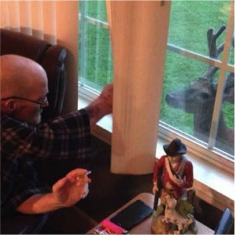 Λίγο πριν πεθάνει ο 70χρονος παππούς εμφανίστηκε ένα ελάφι στο παράθυρο. Με τη συνέχεια θα παγώσετε!