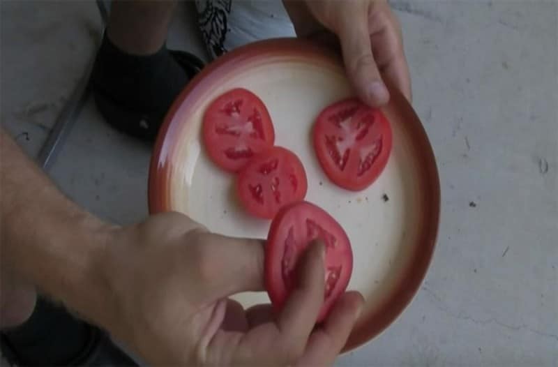Σταματήστε να αγοράζετε ντομάτες! Με αυτή την τεχνική θα μπορείτε να καλλιεργείτε εύκολα τις δικές σας, στον κήπο σας