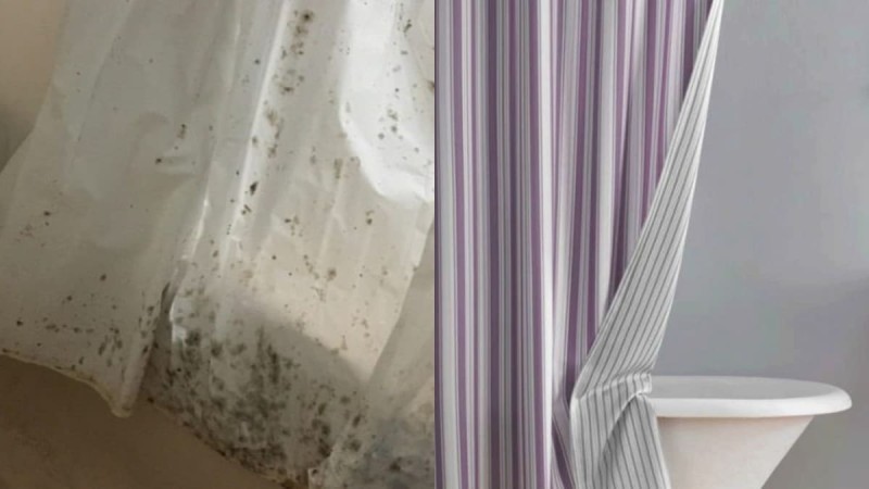 Μούχλα στην κουρτίνα μπάνιου: Εξαφανίστε την με συνοπτικές διαδικασίες μόνο με 2 υλικά