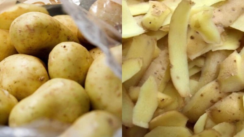 Τόσα χρόνια αποθηκεύαμε λάθος τις πατάτες - Σοβαρός κίνδυνος για την υγεία