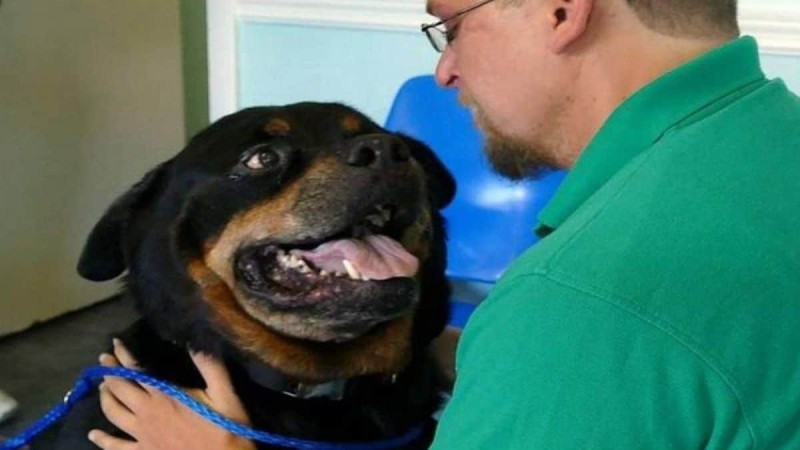 Μετά από 8 χρόνια, σκύλος συναντά τον ιδιοκτήτη του - Η αντίδρασή του... ραγίζει καρδιές