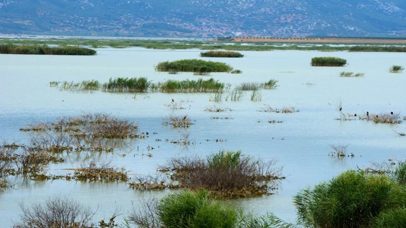 Κάρλα: Η απόκοσμη λίμνη της Θεσσαλίας που αναγεννήθηκε από το μηδέν