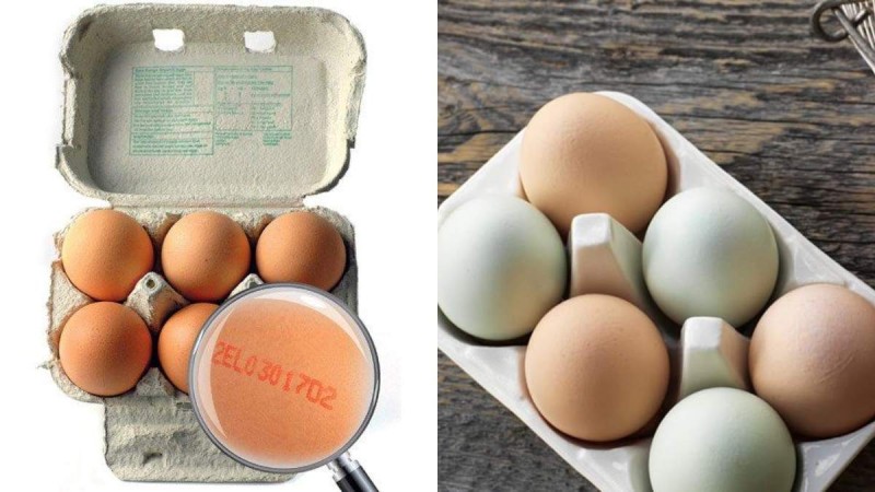 Έχετε προσέξει ποτέ τους κωδικούς στα αυγά που αγοράζετε; Τι πραγματικά σημαίνουν - Μεγάλη προσοχή!