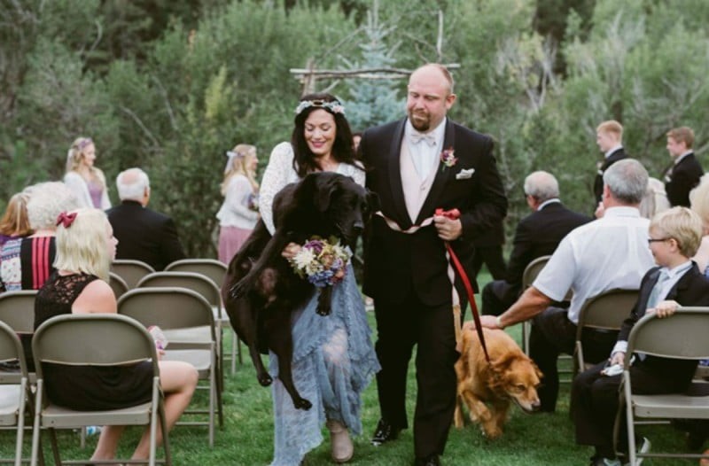 Ετοιμοθάνος σκύλος κράτησε τις δυνάμεις του για να παρευρεθεί στο γάμο της ιδιοκτήτριας του - Η συνέχεια σοκάρει...