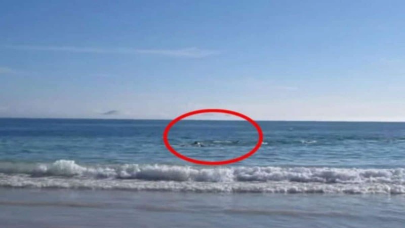 Τραβούσε βίντεο με την κάμερα του την παραλία όταν ξαφνικά συνέβη... Δεν μπορούσε να πιστέψει στα μάτια του (Video)