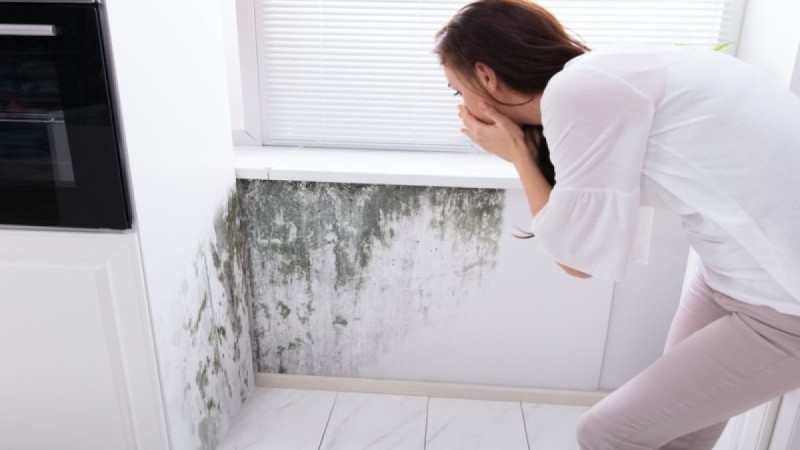 Μοιραίο σφάλμα στο σπίτι: Το «ασυγχώρητο» λάθος που δεν αφήνει τη μούχλα να φύγει από τους τοίχους