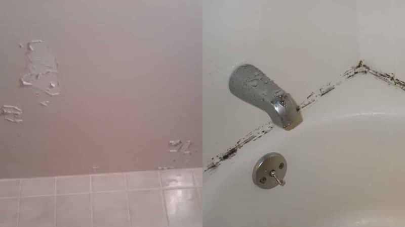 Υγρασία στο μπάνιο: Το σημείο που ξεχνούν όλοι να καθαρίσουν και μαζεύει μούχλα