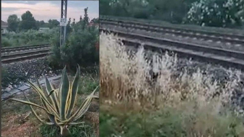 Ατελείωτη κατάντια: Αφύλακτη διάβαση τρένου στη Λεπτοκαρυά - Ακριβώς δίπλα της παίζουν παιδιά (video)