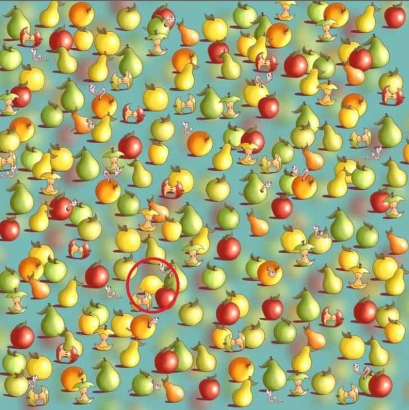 Super οφθαλμαπάτη: Μπορείτε να εντοπίσετε το λεμόνι ανάμεσα στα φρούτα σε 7 δευτερόλεπτα;