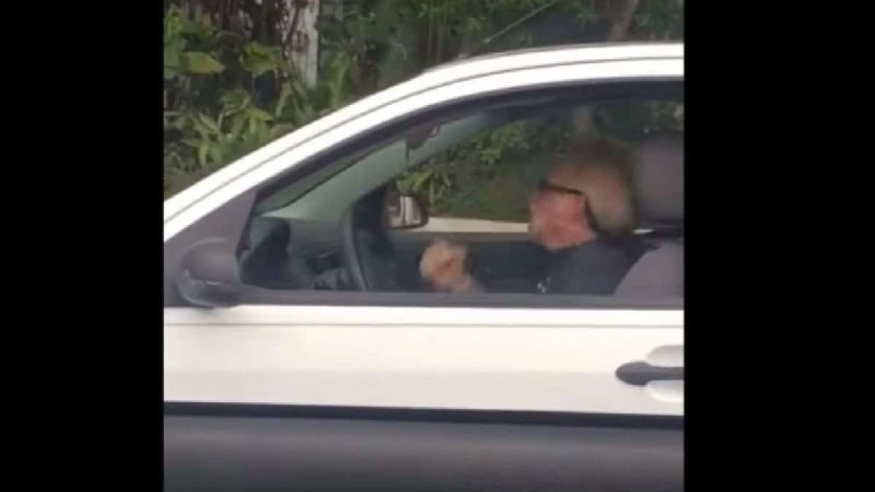 85χρονος παππούς ξεκινά να χτυπιέται μέσα στο αμάξι - Μόλις μάθετε τον λόγο θα μείνετε «κάγκελο»