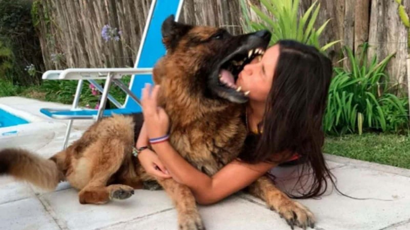 17χρονη βγάζει selfie αγκαλιά με το σκύλο της - Λίγα δευτερόλεπτα μετά το πρόσωπό της...