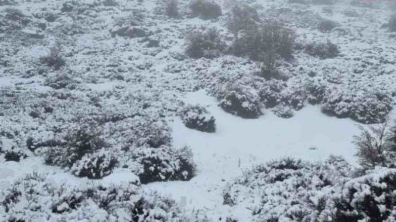 Απίστευτο θέαμα: Χιονίζει στην Κρήτη – Στα λευκά ο Ψηλορείτης (Video)