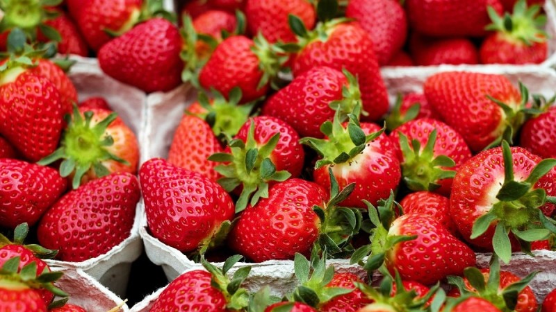 Φράουλα: Το φρούτο της άνοιξης - Γνωρίστε τις θρεπτικές του ιδιότητες