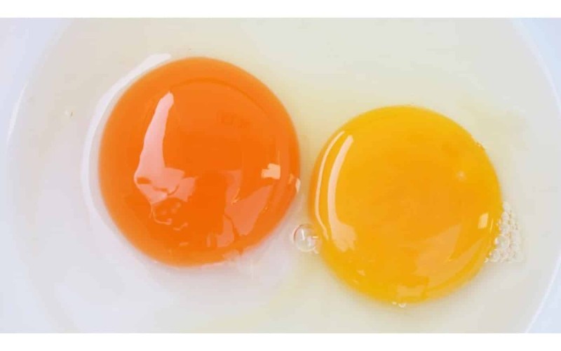 Κίνδυνος με τα αυγά: Το ανησυχητικό στοιχείο που δείχνει ότι κάτι δεν πάει καλά