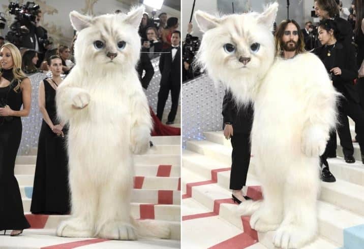 Τζάρεντ Λέτο: Μαγνήτισε τα βλέματα στο Met Gala - Εμφανίστηκε ντυμένος η γάτα του Karl Lagerfeld!