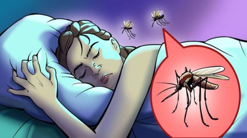 «Βye bye» κουνούπια: 11 αρώματα που θα απομακρύνουν από το σπίτι με τον πιο φυσικό τρόπο