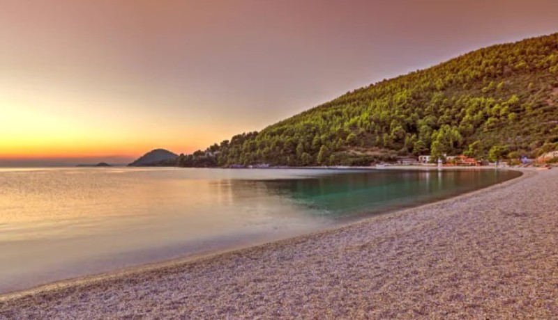 Παράδεισος επί Γης: Το ελληνικό νησί με την γαλαζοπράσινη θάλασσα όπου τα δέντρα «καθρεφτίζονται» στο νερό