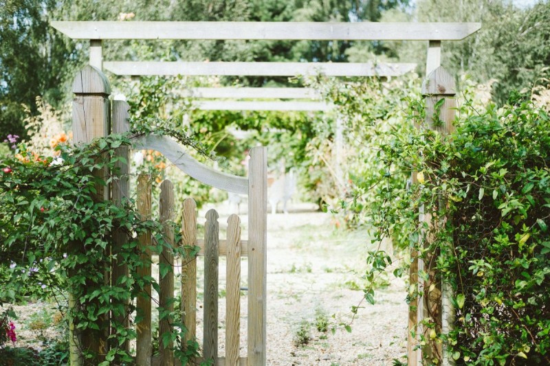 10 φυτά φράχτες για τον κήπο σας - Έτσι θα κρατήσετε μακριά τα αδιάκριτα βλέμματα!