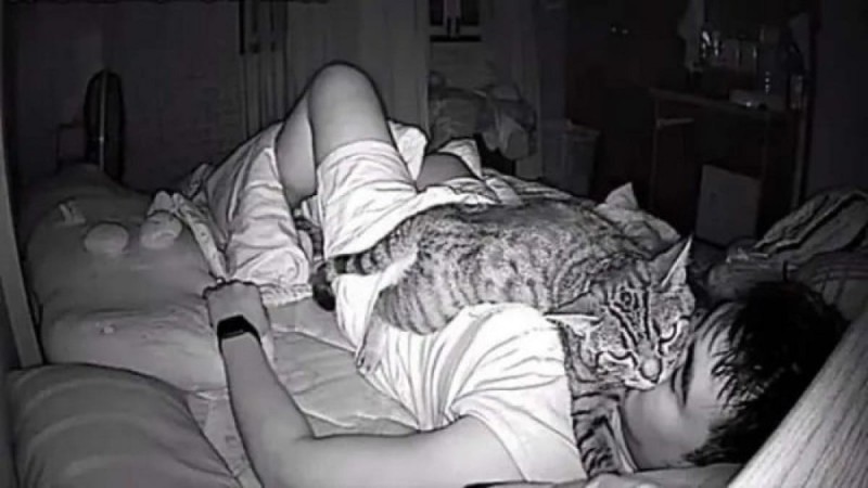 Έβαλε μια κάμερα στο δωμάτιό του - Όταν κατάλαβε γιατί η γάτα του τον παρακολουθούσε όλο το βράδυ κάλεσε αμέσως τις αρχές