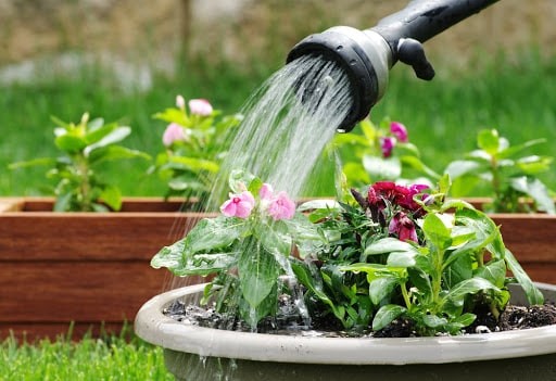 Καλοκαιρινό tip: Το μυστικό για να μην χύνεται το νερό έξω από την γλάστρα όταν ποτίζετε τα φυτά σας