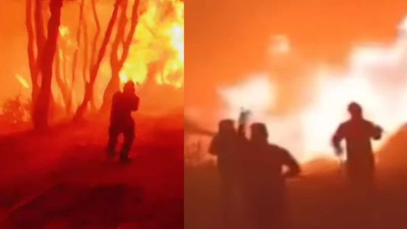 Φωτιά στη Ρόδο: «Φύγε, δεν κόβεται!» - Ανατριχιαστικό βίντεο από την μάχη των πυροσβεστών με τις φλόγες