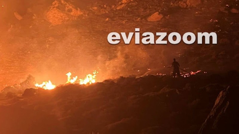 Φωτιά στην Εύβοια: Δραματικές ώρες για πυροσβέστη στην Κάρυστο - «Δεν έρχεται νερό κάτω;» (video & photos)
