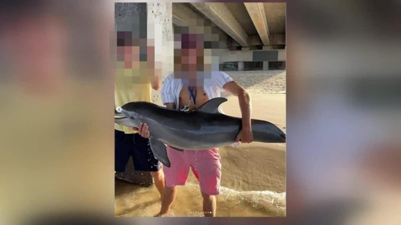 19χρονος έβγαλε δελφίνι από το νερό για selfie και αυτό πέθανε - Απειλές για τη ζωή του δέχεται ο νεαρός άνδρας (photo)