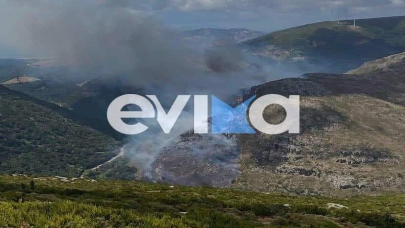 Φωτιά στην Κάρυστο: Σε δύσβατο σημείο το μέτωπο της πυρκαγιάς - Ενισχύονται οι δυνάμεις της Πυροσβεστικής (video)