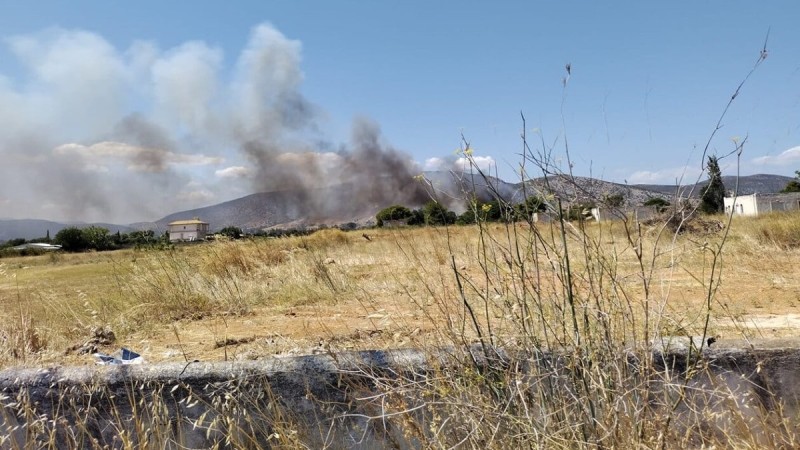Φωτιά στον Μαραθώνα - Συναγερμός στην Πυροσβεστική