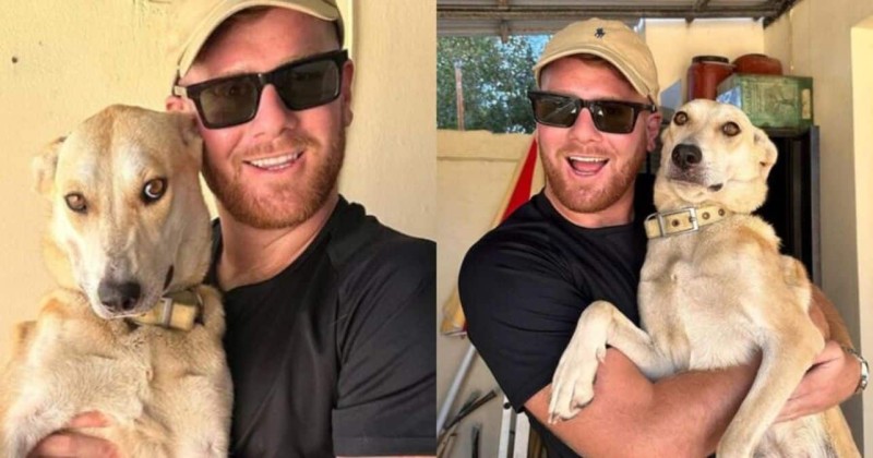 «Αν δεν βρεθεί κάποιος, θα το κάνω εγώ»: Πράξη ανθρωπιάς του Τζέιμς Καφετζή, υιοθετεί πυρόπληκτο σκυλάκι στη Ρόδο
