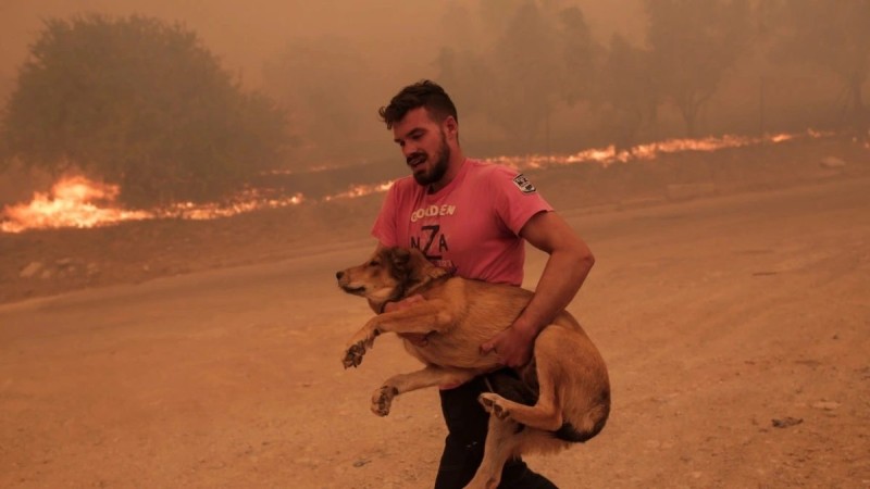 Λεωνίδας Ρόδης: Αυτός είναι ο ήρωας που έσωσε ζώα από τη φωτιά στην Πάρνηθα