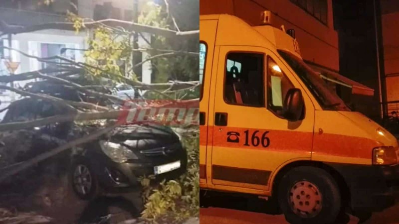 Παρ'ολίγον τραγωδία στην Πάτρα: Δέντρο έπεσε σε γυναίκα και την τραυμάτισε στο κεφάλι (video)