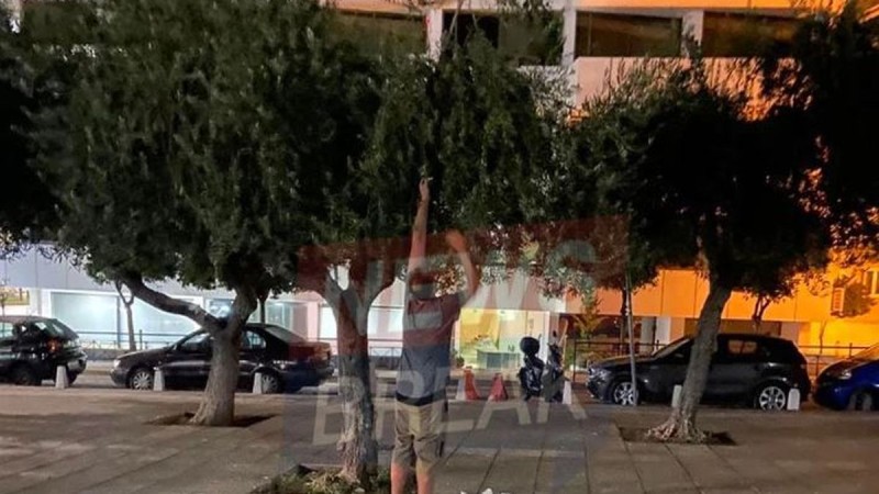 Εκτοξεύτηκε η τιμή του ελαιόλαδου και πολίτες βγήκαν στο κέντρο της Αθήνας να μαζέψουν ελιές