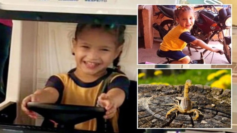 Αδιανόητη τραγωδία: Νεκρή η 3χρονη Μαρία - Δεν άντεξε και πέθανε από τσίμπημα σκορπιού παρά τις προσπάθειες των γιατρών (photo)