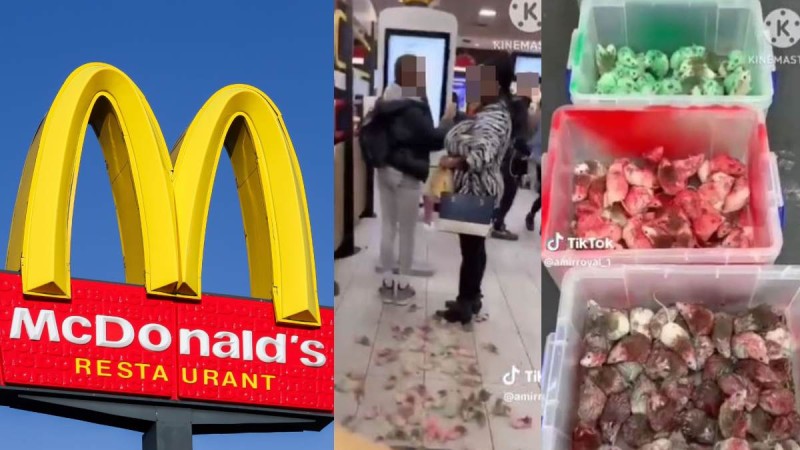 Ακτιβιστής υπέρ της Παλαιστίνης «μπούκαρε» σε McDonald's και πέταξε ζωντανά ποντίκια (video)