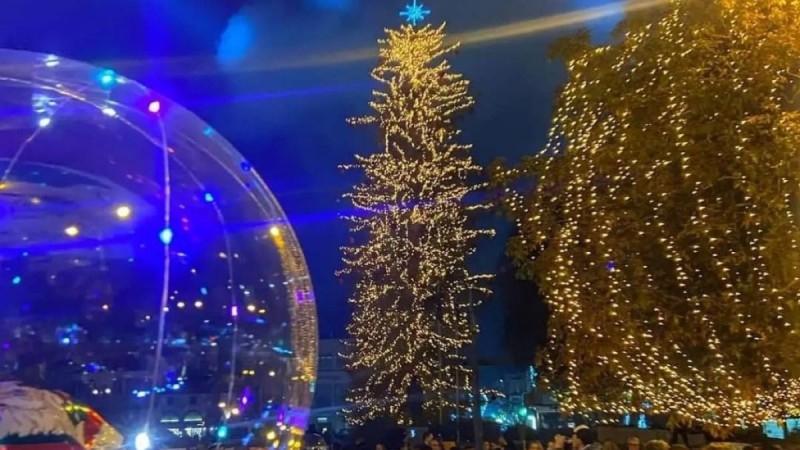 Τρίκαλα: Φωταγωγήθηκε το υψηλότερο φυσικό χριστουγεννιάτικο δέντρο