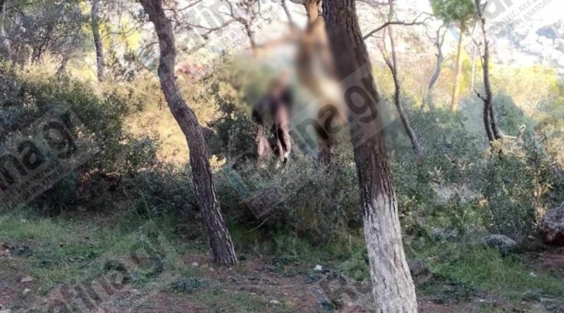 Γυναίκα βρέθηκε κρεμασμένη σε δέντρο πίσω από εκκλησάκι στη Ραφήνα