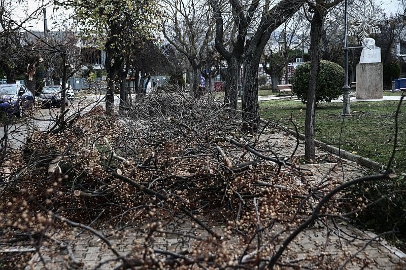 Ισχυρή κακοκαιρία στη Θεσσαλονίκη - Χωρίς ρεύμα περιοχές από πτώση δέντρων - Κλειστά σχολεία