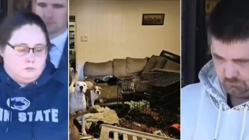 Φρίκη στην Πενσυλβάνια: Γονείς έδιναν σκυλοτροφή στην 6χρονη κόρη τους! Ήταν κλειδωμένη γ@μν@ σε κλουβί - Το σώμα της ήταν γεμάτο με ανοιχτές πληγές